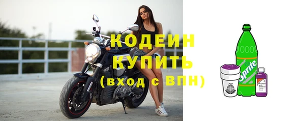 амф Новодвинск