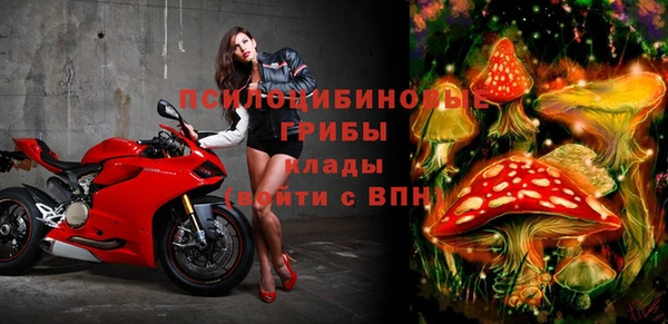 эйфоретик Новозыбков