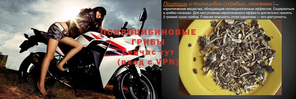 эйфоретик Новозыбков